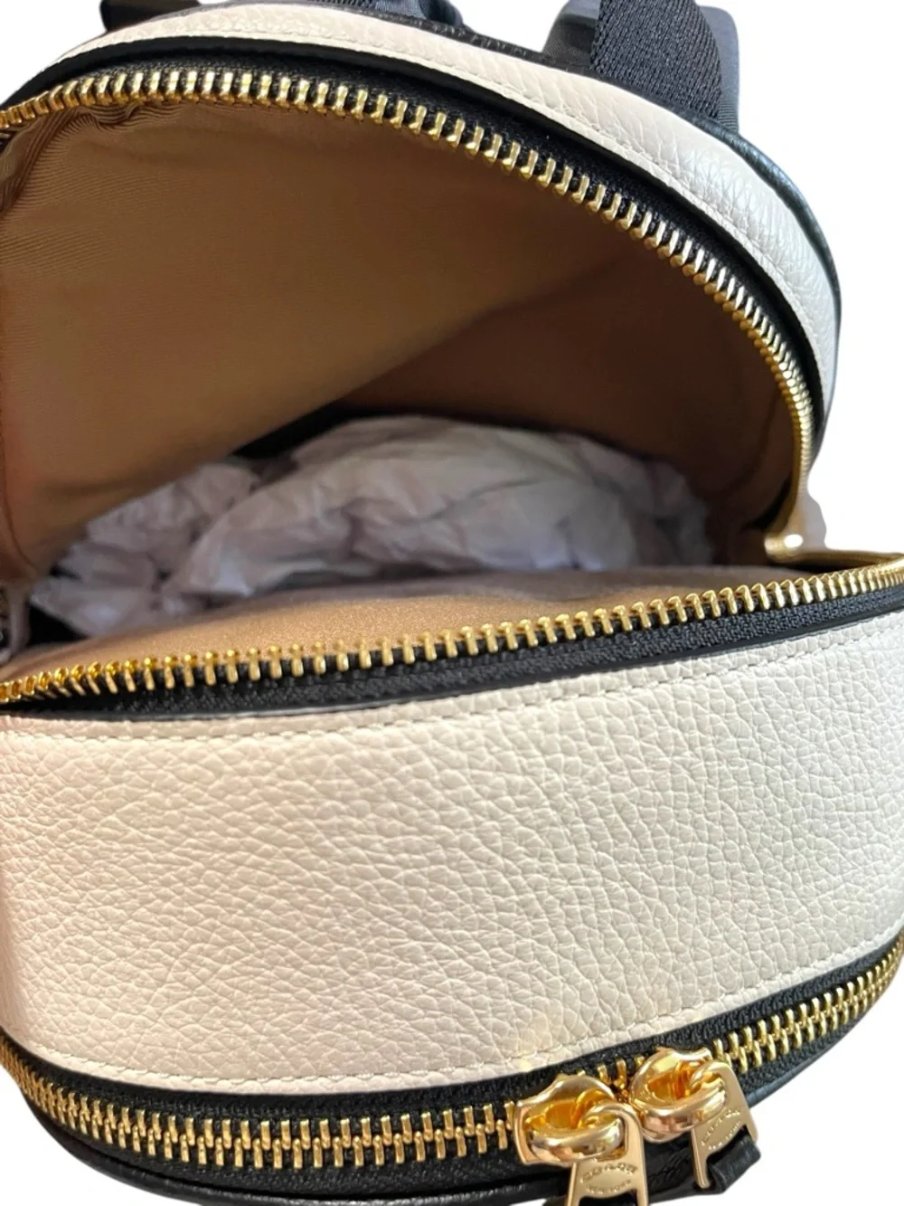 NWT COACH x DISNEY Cruella Motif Mini Pebbled Leather Court Backpack Bag